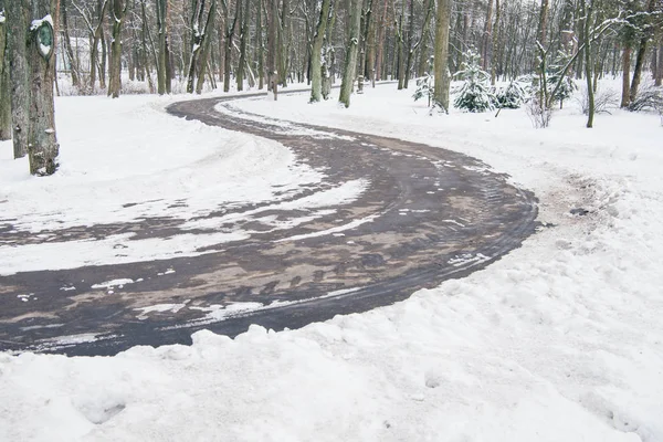 Route Bétonnée Dans Forêt Enneigée Hiver — Photo