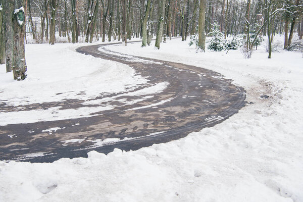 concrete road in snowy winter forest