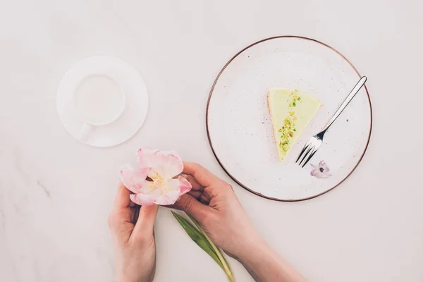 Partial View Female Hands Flower Cup Milk Piece Cake Plate — Stock Photo, Image
