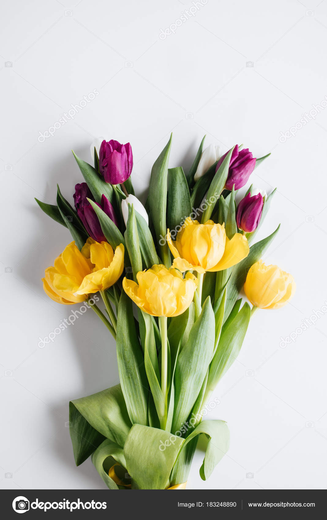 Download Á Tulips Flowers Stock Pictures Royalty Free Yellow Tulips Images Download On Depositphotos PSD Mockup Templates