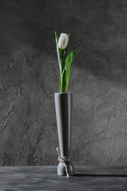 gri beton yüzeyi gri Vazoda beyaz bahar Lale