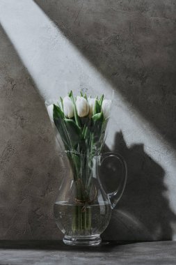 cam sürahi gölgeli gri beton yüzeyinde beyaz bahar laleler