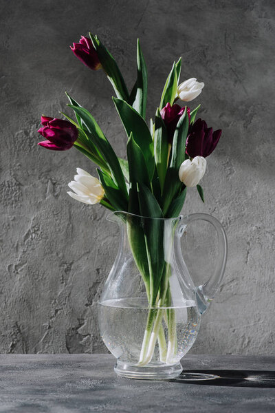 fresh purple and white tulips in glass jug on grey surface