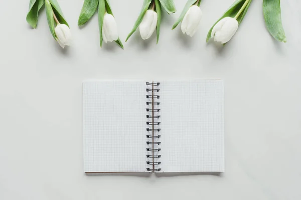 Top View Notebook White Tulips White Surface — Stock Photo, Image