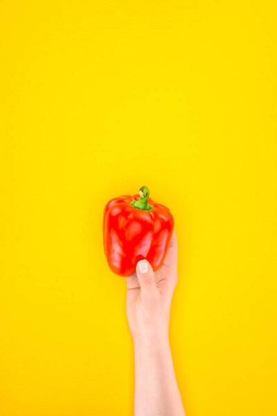 cropped shot of person holding fresh raw paprika pepper isolated on yellow