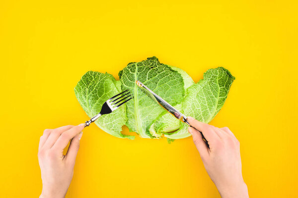 cropped shot of person eating healthy savoy cabbage isolated on yellow