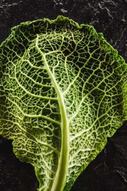 close-up view of fresh  green leaf of healthy savoy cabbage on black   clipart