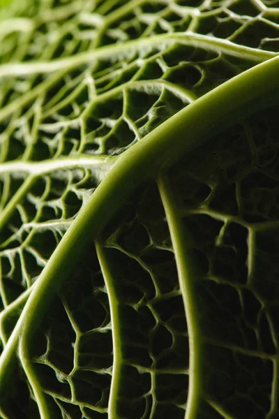 Close View Texture Green Fresh Savoy Cabbage Leaf — Stock Photo, Image