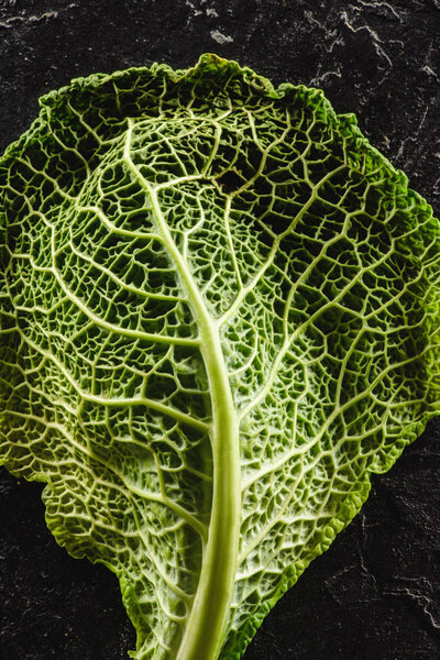 close-up view of fresh  green leaf of healthy savoy cabbage on black  