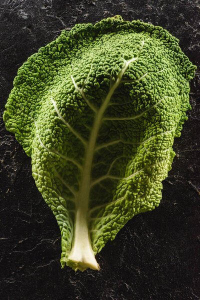 close-up view of green leaf of fresh healthy savoy cabbage on black 