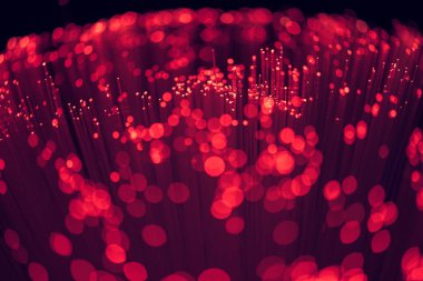 selective focus of glowing red fiber optics background