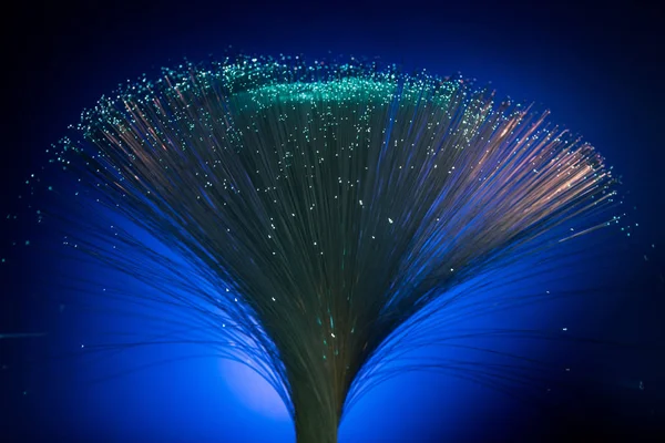 Fibra Óptica Brillante Sobre Fondo Azul Oscuro — Foto de Stock