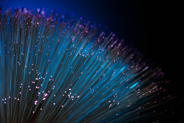 Close up of blue fiber optics texture background, communication technology