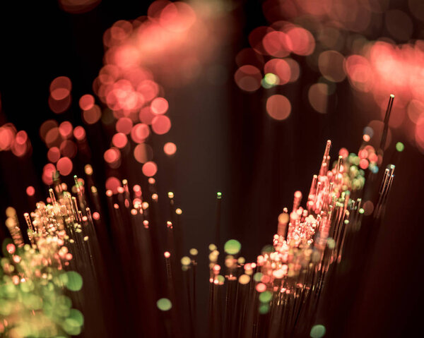 selective focus of shiny pink fiber optics background