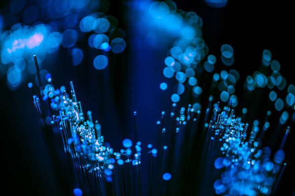 selective focus of glowing blue fiber optics texture background