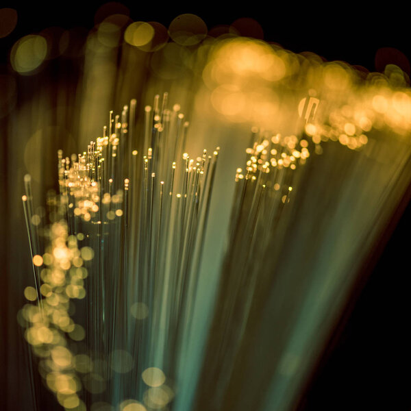 selective focus of shiny yellow fiber optics texture background