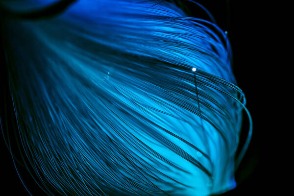 close up of glowing blue fiber optics threads texture