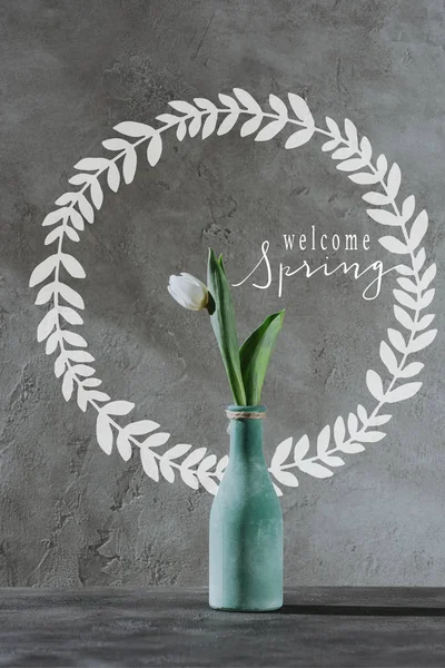Fehér Tavaszi Tulipán Kék Vázában Welcome Tavaszi Felirat Szürke Felületen — Stock Fotó
