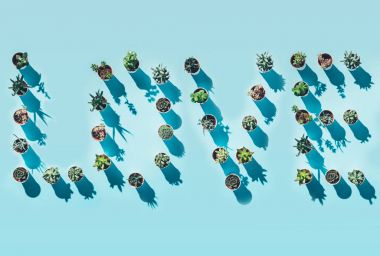 mavi yeşil Saksı bitkileri yapılan kelime aşk Üstten Görünüm