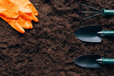 top view of orange rubber gloves and small gardening tools on soil clipart