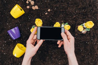 boş ekran ve zeminde Demlikli güzel sarı çiçekler ile smartphone kullanarak kişinin kısmi görünümü 