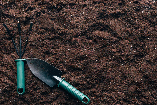 top view of small gardening tools on soil with copy space