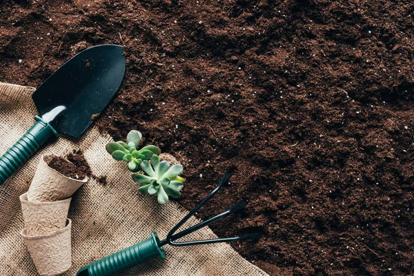 Top View Gardening Tools Flower Pots Green Plants Sackcloth Soil — Stock Photo, Image