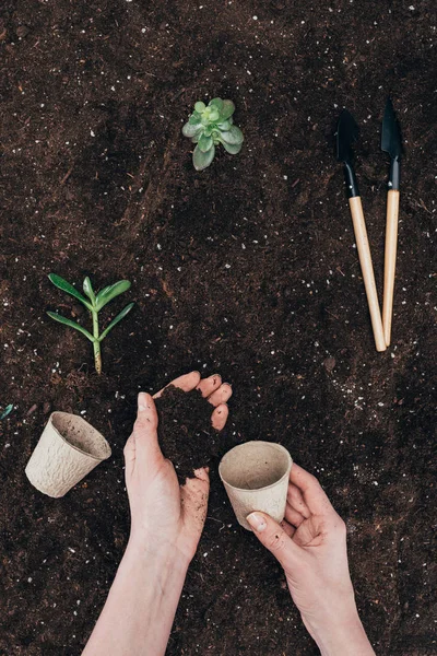 Foto Orang Yang Sedang Memegang Tanah Dan Pot Bunga Yang — Stok Foto