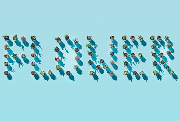 top view of word flower made from green potted plants on blue 