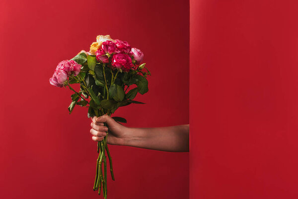 cropped shot of person holding beautiful bouquet of roses on red 