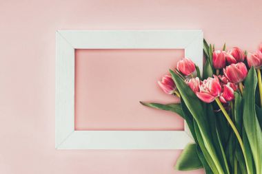 güzel Pembe Lale çiçek yeşil yaprakları ve pembe üzerinde boş beyaz çerçeve  
