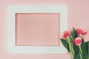 beautiful pink tulips and empty white frame on pink   clipart
