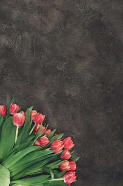 top view of beautiful red tulip flowers on dark surface with copy space  clipart