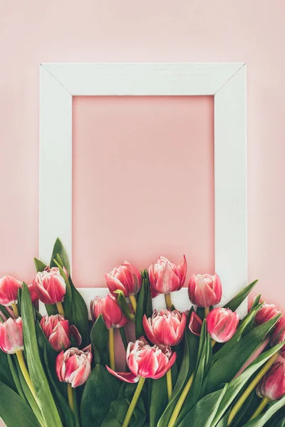 緑の葉とピンクの空の白いフレームの美しいピンクのチューリップの花束 — ストック写真