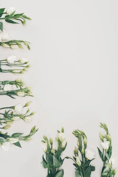 Schöne Weiße Eustoma Blüten Auf Grauem Hintergrund — kostenloses Stockfoto