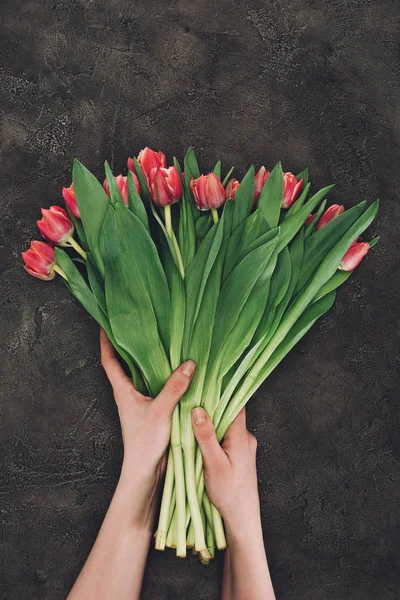 Foto Recortada Persona Sosteniendo Hermosos Tulipanes Rosados Con Hojas Verdes — Foto de Stock