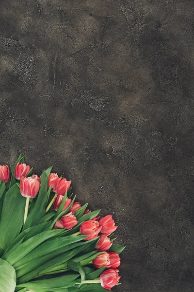 Vue Dessus Belles Fleurs Tulipes Rouges Sur Une Surface Sombre — Photo