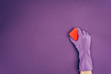 cropped image of woman holding washing sponge in protective glove isolated on violet clipart