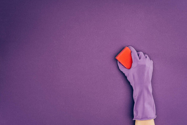 cropped image of woman holding washing sponge in protective glove isolated on violet
