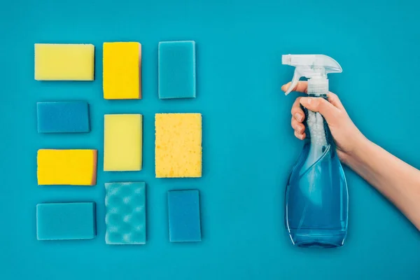 cropped image of woman holding spray bottle near washing sponges isolated on blue