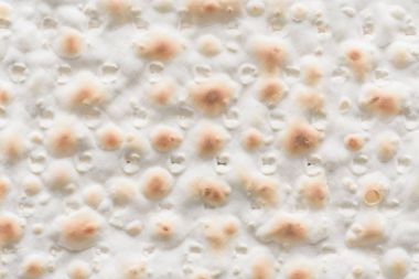 Matza, Yahudi geleneksel gıda yakın çekim
