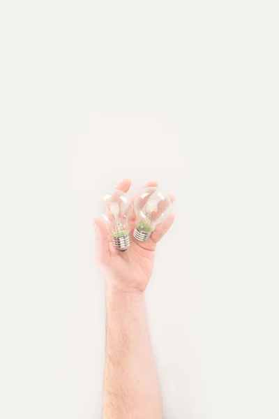 Обрізаний Знімок Людини Тримає Лампочки Ізольовані Білому — стокове фото