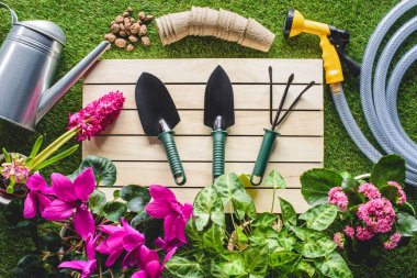 top view of gardening equipment and flowers on grass clipart