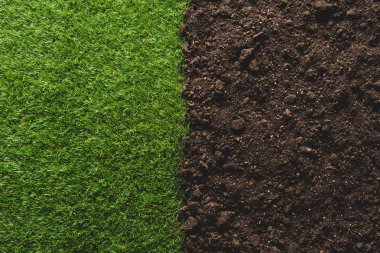 top view of green lawn and soil background clipart