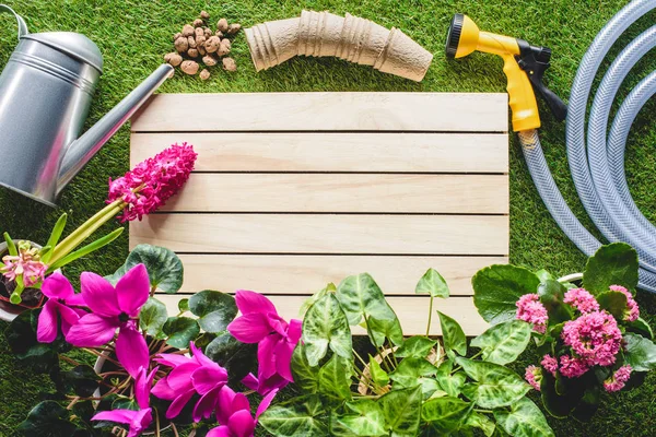 Draufsicht Auf Gießkanne Blumentöpfe Schlauchleitung Und Blumen Auf Gras — Stockfoto