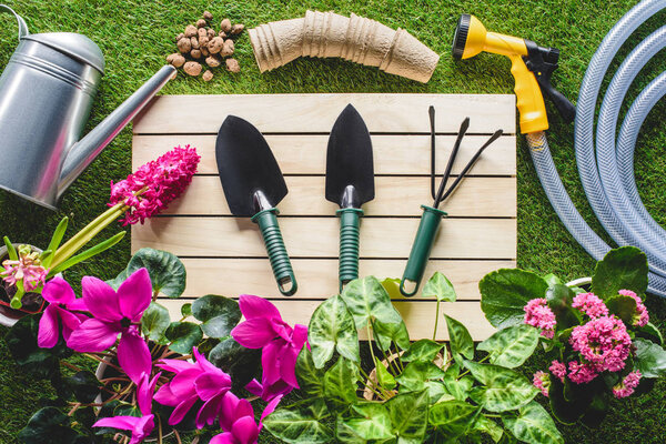 top view of gardening equipment and flowers on grass
