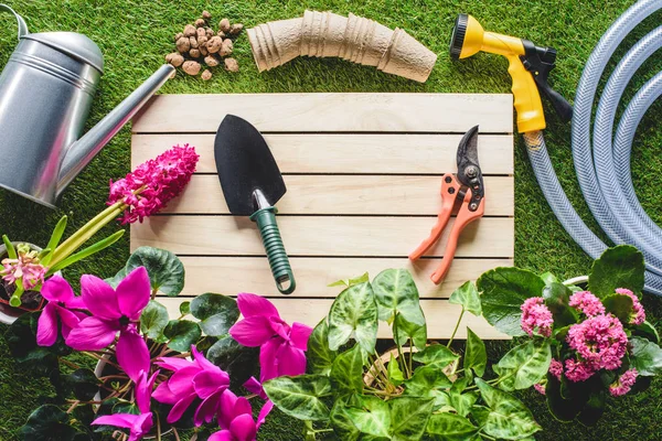 çimenlerin üzerinde kürek, secateurs, sulama olabilir, saksı ve hosepipe Üstten Görünüm