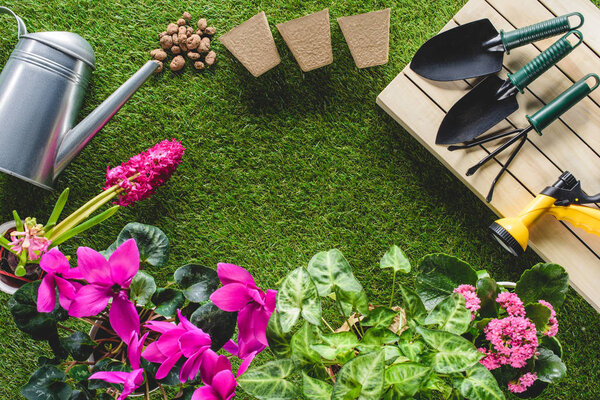 top view of flowers and arranged gardening equipment on grass
