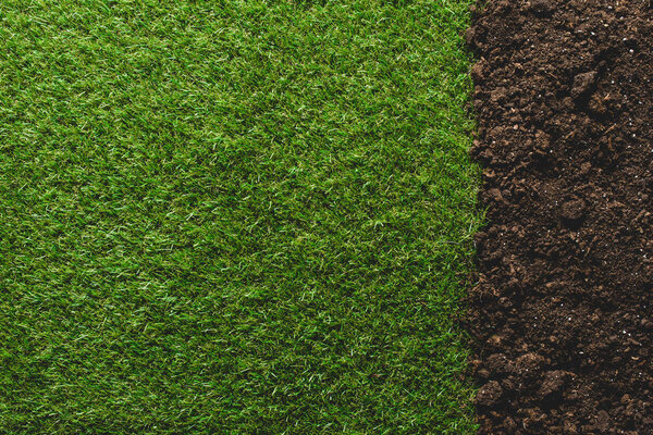 top view of green lawn and soil background