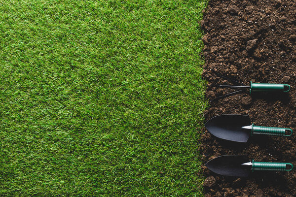 top view of grass and arranged gardening tools on soil 